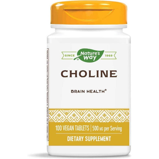 Nature's Way Choline 500mg 100 Vegan Tablets | Premium Supplements at HealthPharm.co.uk